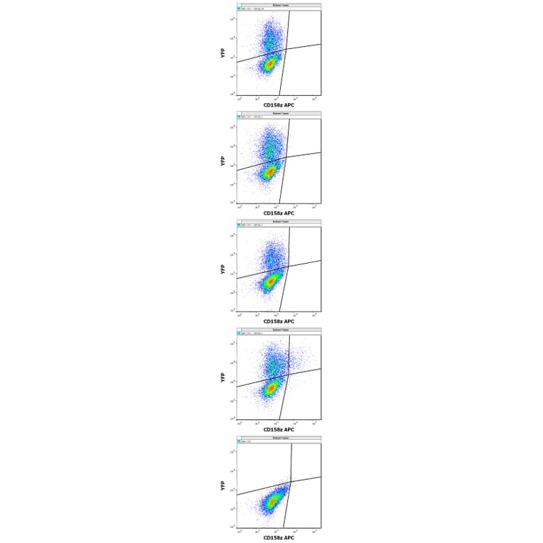Flow Cytometry - Anti-KIR3DL3 Antibody [CH21] (APC) (A320768)