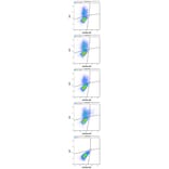 Flow Cytometry - Anti-KIR3DL3 Antibody [CH21] (APC) (A320768)