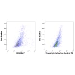 Flow Cytometry - Anti-KIR3DL3 Antibody [CH21] (PE) (A320769)