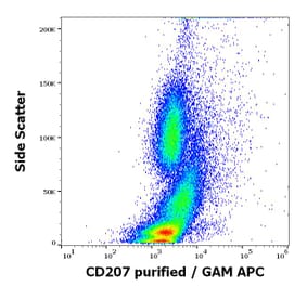 Flow Cytometry - Anti-Langerin Antibody [2G3] (A320770)