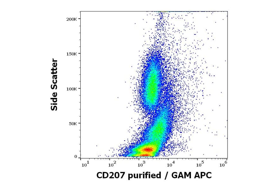 Flow Cytometry - Anti-Langerin Antibody [2G3] (A320770)
