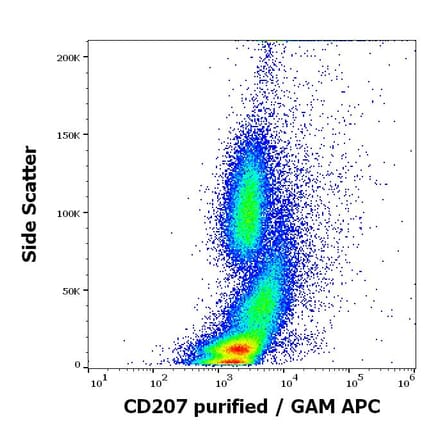Flow Cytometry - Anti-Langerin Antibody [2G3] (A320770)