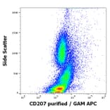 Flow Cytometry - Anti-Langerin Antibody [2G3] (A320770)