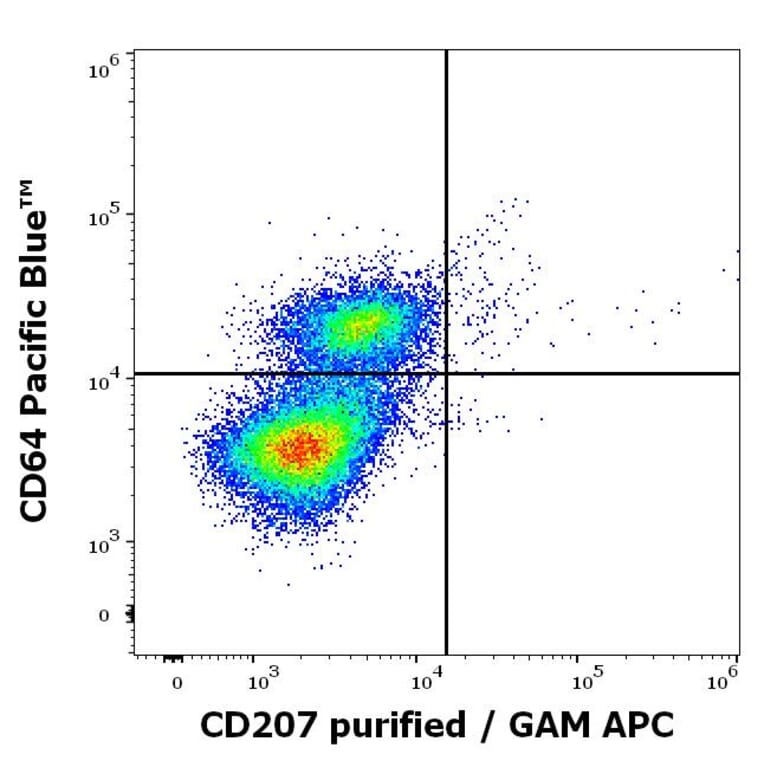 Flow Cytometry - Anti-Langerin Antibody [2G3] (A320770)