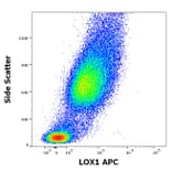 Flow Cytometry - Anti-LOX1 Antibody [15C4] (APC) (A320773)