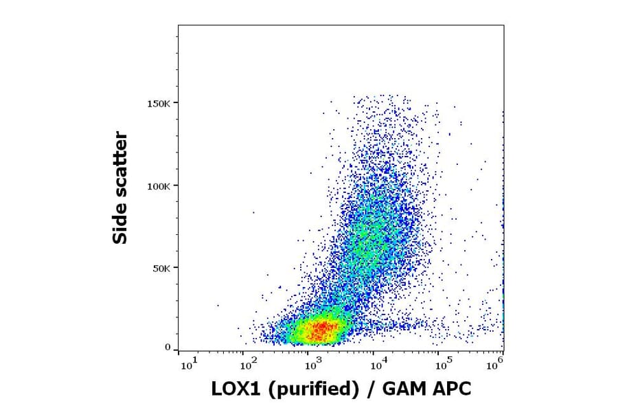 Flow Cytometry - Anti-LOX1 Antibody [15C4] (A320775)