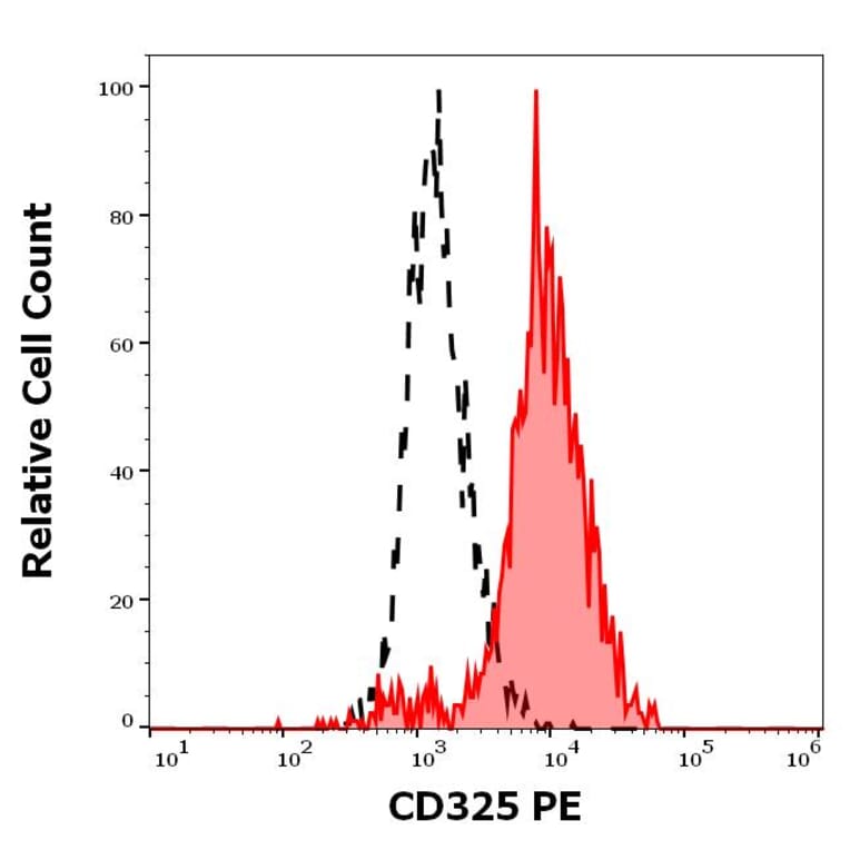 Flow Cytometry - Anti-N Cadherin Antibody [8C11] (PE) (A320778)