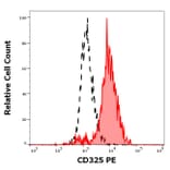 Flow Cytometry - Anti-N Cadherin Antibody [8C11] (PE) (A320778)