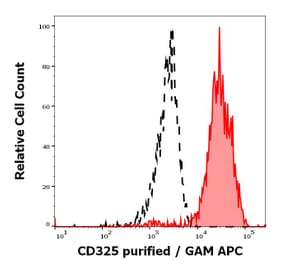 Flow Cytometry - Anti-N Cadherin Antibody [8C11] (A320779)