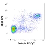 Flow Cytometry - Anti-Perforin Antibody [dG9] (PE-Cyanine 7) (A320784)