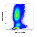 Flow Cytometry - Anti-SIGLEC10 Antibody [5G6] (PE) (A320788)