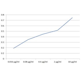 ELISA - Anti-SIGLEC10 Antibody [5G6] (A320789)