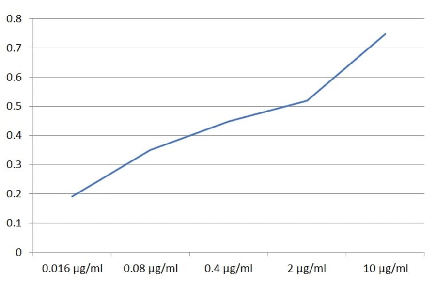 ELISA - Anti-SIGLEC10 Antibody [5G6] (A320789)