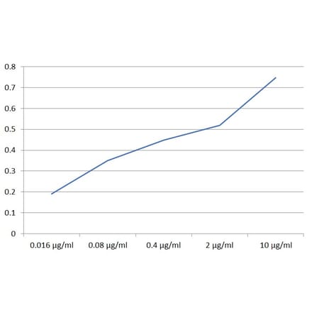 ELISA - Anti-SIGLEC10 Antibody [5G6] (A320789)