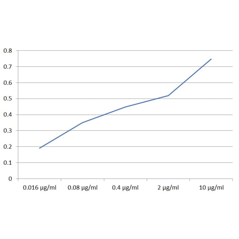 ELISA - Anti-SIGLEC10 Antibody [5G6] (A320789)