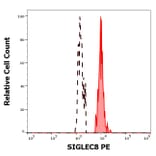 Flow Cytometry - Anti-SIGLEC8 Antibody [7C9] (PE) (A320791)