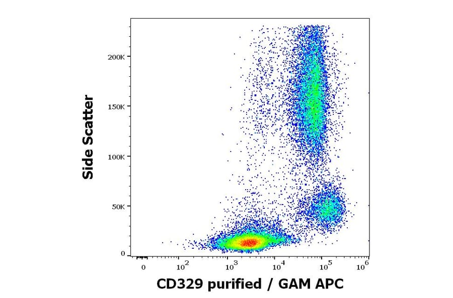 Flow Cytometry - Anti-SIGLEC9 Antibody [K8] (A320792)