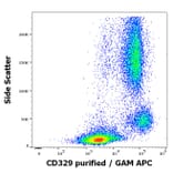 Flow Cytometry - Anti-SIGLEC9 Antibody [K8] (A320792)