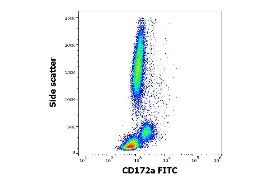 Flow Cytometry - Anti-SIRP alpha Antibody [15-414] (FITC) (A320793)