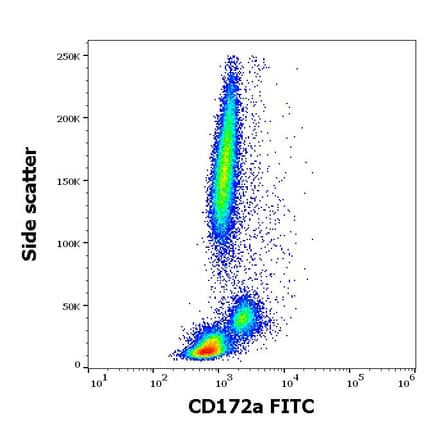 Flow Cytometry - Anti-SIRP alpha Antibody [15-414] (FITC) (A320793)