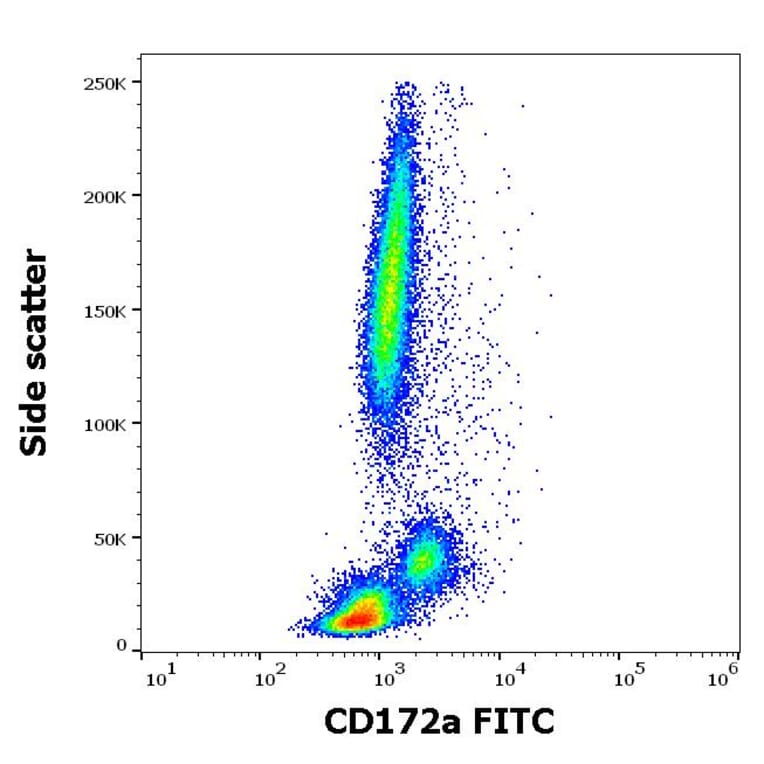 Flow Cytometry - Anti-SIRP alpha Antibody [15-414] (FITC) (A320793)