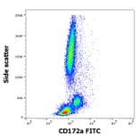 Flow Cytometry - Anti-SIRP alpha Antibody [15-414] (FITC) (A320793)
