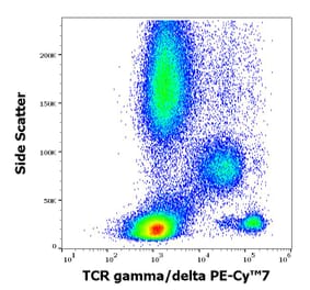 Flow Cytometry - Anti-TCR gamma + TCR delta Antibody [11F2] (PE-Cyanine 7) (A320795)