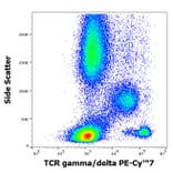 Flow Cytometry - Anti-TCR gamma + TCR delta Antibody [11F2] (PE-Cyanine 7) (A320795)