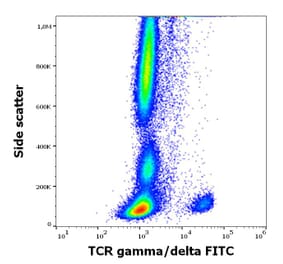 Flow Cytometry - Anti-TCR gamma + TCR delta Antibody [11F2] (FITC) (A320796)