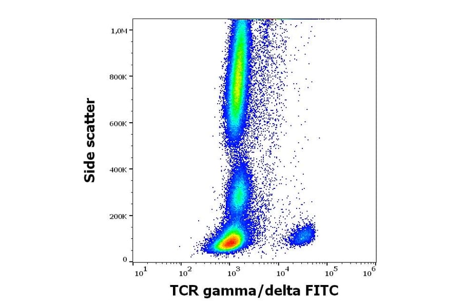 Flow Cytometry - Anti-TCR gamma + TCR delta Antibody [11F2] (FITC) (A320796)