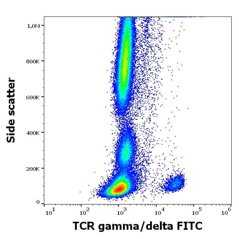 Flow Cytometry - Anti-TCR gamma + TCR delta Antibody [11F2] (FITC) (A320796)