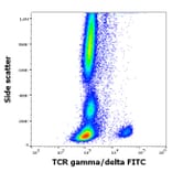 Flow Cytometry - Anti-TCR gamma + TCR delta Antibody [11F2] (FITC) (A320796)