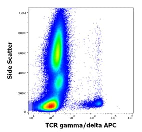 Flow Cytometry - Anti-TCR gamma + TCR delta Antibody [11F2] (APC) (A320797)