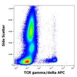 Flow Cytometry - Anti-TCR gamma + TCR delta Antibody [11F2] (APC) (A320797)