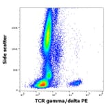Flow Cytometry - Anti-TCR gamma + TCR delta Antibody [11F2] (PE) (A320798)