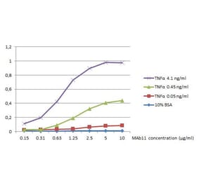 ELISA - Anti-TNF alpha Antibody [MAb11] (Biotin) (A320802)