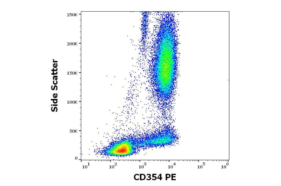 Flow Cytometry - Anti-TREM1 Antibody [6B1] (PE) (A320803)