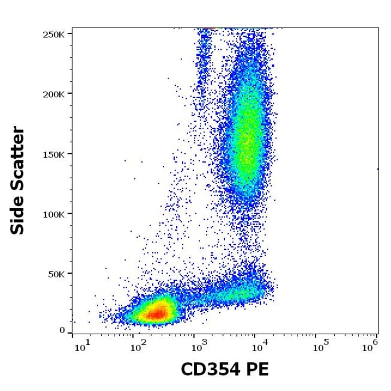 Flow Cytometry - Anti-TREM1 Antibody [6B1] (PE) (A320803)