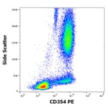 Flow Cytometry - Anti-TREM1 Antibody [6B1] (PE) (A320803)