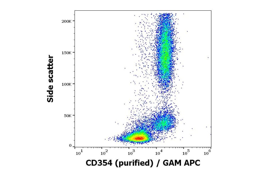 Flow Cytometry - Anti-TREM1 Antibody [6B1] (A320804)