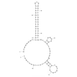 Secondary Structure - Anti-Ricin Aptamer [C5] (Biotin) (A320809) - Antibodies.com