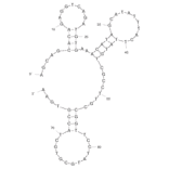 Secondary Structure - Anti-Human IgE Aptamer [4.4.12] (Biotin) (A320812) - Antibodies.com