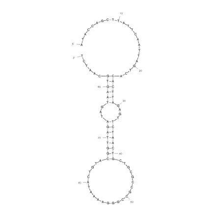 Secondary Structure - Anti-Acute Lymphoblastic Leukemia (CCRF-CEM) Aptamer [sgc8] (Biotin) (A320820) - Antibodies.com