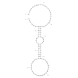 Secondary Structure - Anti-Acute Lymphoblastic Leukemia (CCRF-CEM) Aptamer [sgc8] (Biotin) (A320820) - Antibodies.com