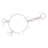 Secondary Structure - Anti-Protein Kinase C delta Aptamer (Biotin) (A320825) - Antibodies.com