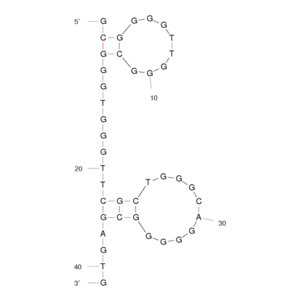 Secondary Structure - Anti-Cellobiose Aptamer [Cel#16] (Biotin) (A320828) - Antibodies.com