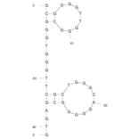 Secondary Structure - Anti-Cellobiose Aptamer [Cel#16] (Biotin) (A320828) - Antibodies.com