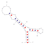 Secondary Structure - Anti-Cholic Acid Aptamer (Biotin) (A320831) - Antibodies.com