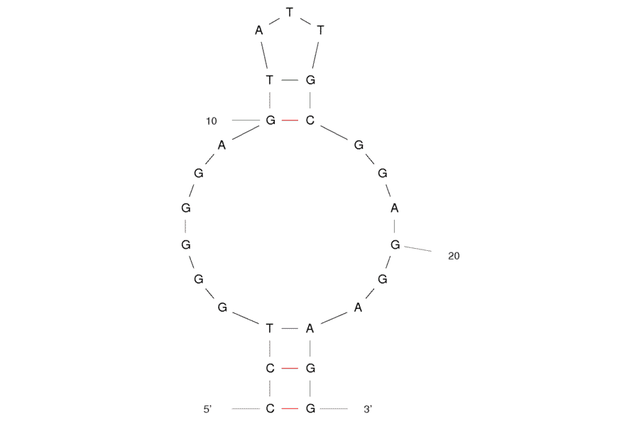 Secondary Structure - Anti-Adenosine + ATP Aptamer [DH25.42] (Biotin) (A320832) - Antibodies.com