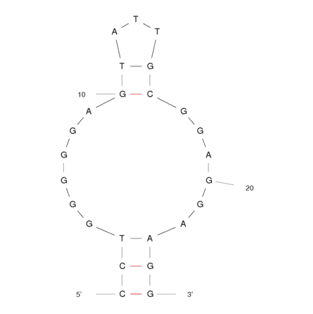 Secondary Structure - Anti-Adenosine + ATP Aptamer [DH25.42] (Biotin) (A320832) - Antibodies.com
